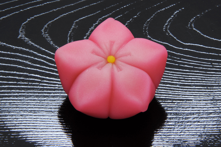桃の花（もものはな） | オンラインショッピング | 鎌倉の味 鳩 